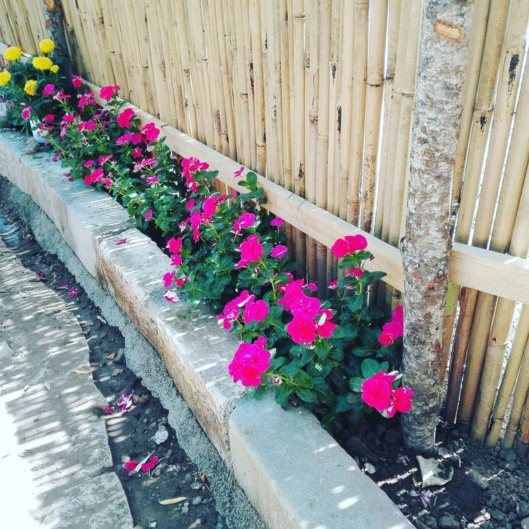 ميلاتسو Casantica Turismo Rurale المظهر الخارجي الصورة